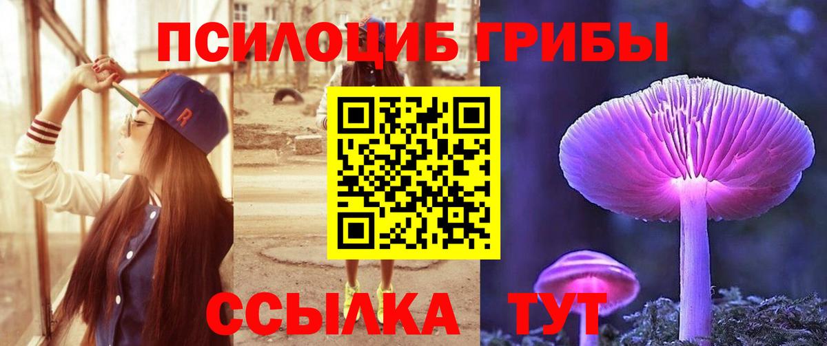 Псилоцибиновые грибы GOLDEN TEACHER  Псилоцибиновые грибы мухоморы  Вход с VPN  Наро-Фоминск 