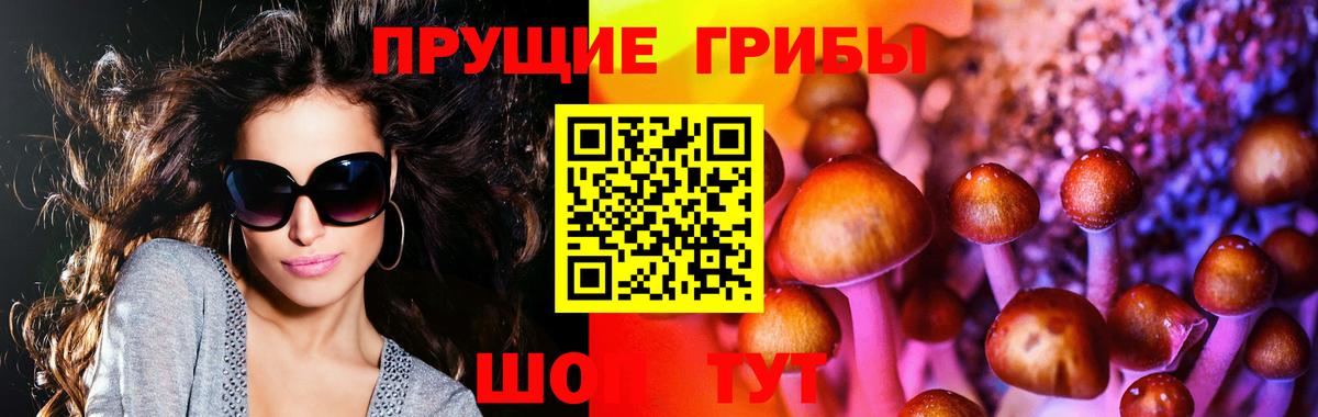 Галлюциногенные грибы Magic Shrooms Наро-Фоминск